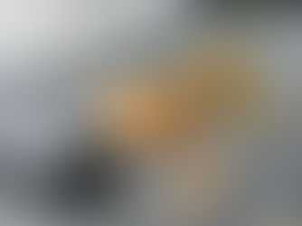 ส่งครอบครัวน้อง ลาบราดอร์ ที่ Cafe’ Amazon PTT คลองเจ็ด