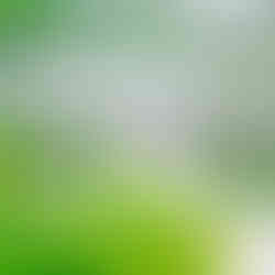 “กล่องแห่งความลับ” ไอเดียสุดเจ๋งของคาเฟ่เปิดใหม่ในเมืองแปดริ้ว จ.ฉะเชิงเทรา “IN BOX คาเฟ่”