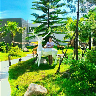 IN BOX คาเฟ่ คาเฟ่ชิลล์ๆฟีลกู๊ดในแปดริ้ว แปลงยาว ร้านเป็นโทนสีขาวมินิมอลมีสวนมีน้ำตกให้ถ่ายรูปเช็คอินมีหลายมุม ว้าวววมาก