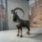 Life-size fiberglass Ibex sculpture with majestic curved horns and bronze-black finish, ideal for hotels, resorts, cafés, gar