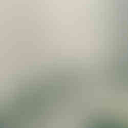 มา"ฉะเชิงเทรา" ทั้งที ถ้าไม่ได้มา IN BOX คาเฟ่ ก็เหมือนมาไม่ถึงคาเฟ่ สุดเก๋ท่ามกลางธรรมชาติสีขาวโอบล้อมไปด้วยต้นไม้สีเขียวลงตัวสุดๆ มุมถ่ายรูปเช็คอินเยอะมากๆ ชวนกันมานั่งชิลรับลม ชมน้ำตก