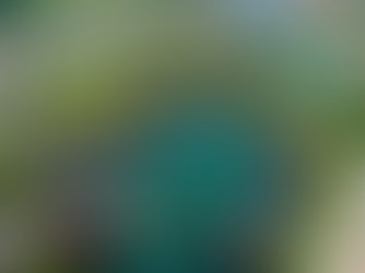 โบ๊ทเฮ้าส์ บูทีค ริเวอร์ไซต์ (Boathouse Boutique Riverside Hotel) | รูปปั้นควายเผือก และเก้าอี้นั่ง