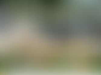 รูปปั้นไฟเบอร์กลาส สัตว์หลากหลาย (Animal Garden Statues)