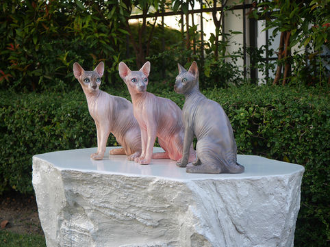 รูปปั้นแมว_sphynx_3.jpg