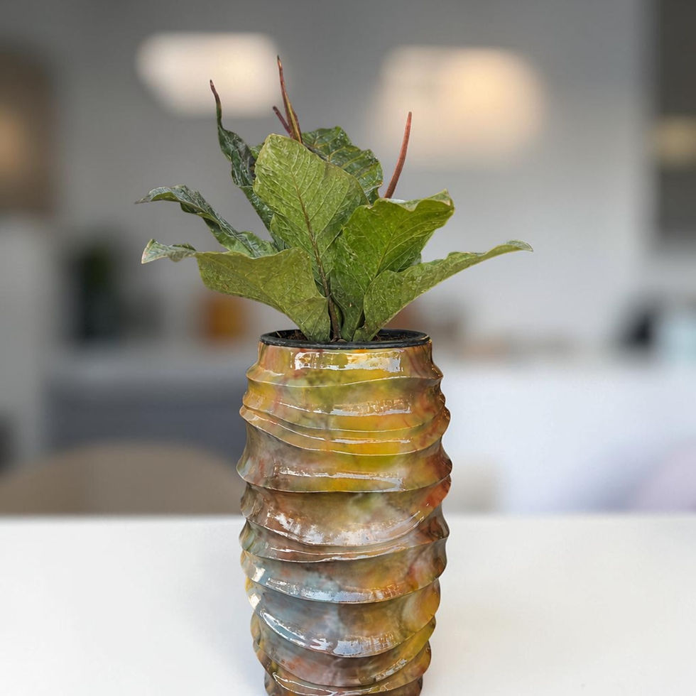 ภาพขนาดย่อ: กระถางริปเปิลทรงสูง Ripple Tall Planter กระถางไฟเบอร์กลาสลอนคลื่น พร้อมต้นไม้ ตั้งอยู่หน้าร้านบ้านโป่งบุรี สไตล์งานคราฟต์และโ