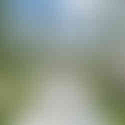 มา"ฉะเชิงเทรา" ทั้งที ถ้าไม่ได้มา IN BOX คาเฟ่ ก็เหมือนมาไม่ถึงคาเฟ่ สุดเก๋ท่ามกลางธรรมชาติสีขาวโอบล้อมไปด้วยต้นไม้สีเขียวลงตัวสุดๆ มุมถ่ายรูปเช็คอินเยอะมากๆ ชวนกันมานั่งชิลรับลม ชมน้ำตก