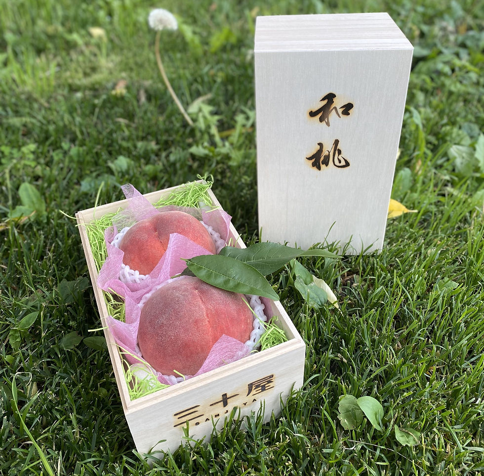 特撰桃「和桃」 桐箱入