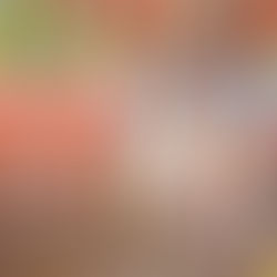 山梨県立美術館