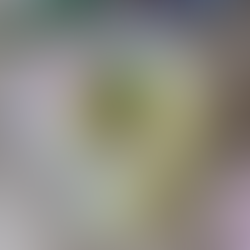 初物、日川白鳳