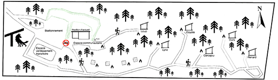 Carte Tanières SANS Courbes de niveaux