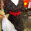 Miniature : Robe swing cerise pin-up rétro rockabilly