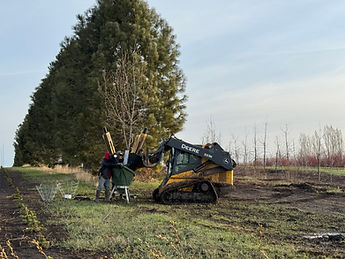 Digging (12).JPG