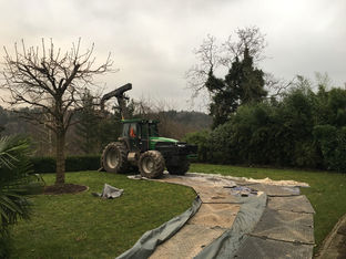 Traktor bei der Baumpflege auf Rasenschutzmatten