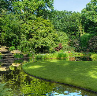 Gartenteich mit Rasenfläche und Waldrand