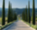 le-sixieme-reve-O7lr-itoiK4-unsplash (1).jpg