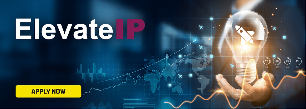 Abstract man holding a lightbult with the words ElevateIP