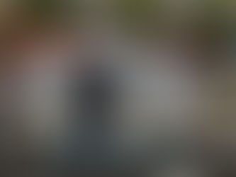 Health Warning: The Coronavirus