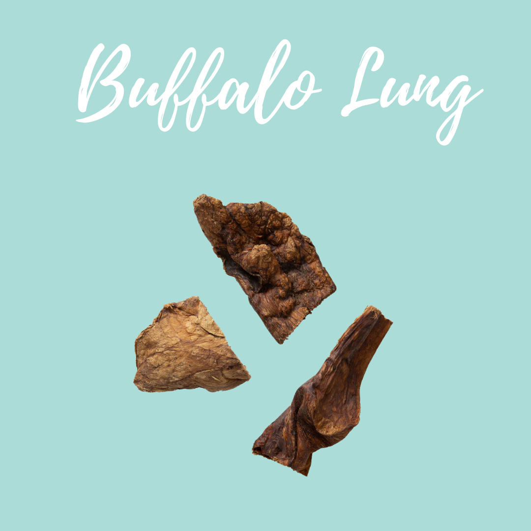 Buffalo Lung