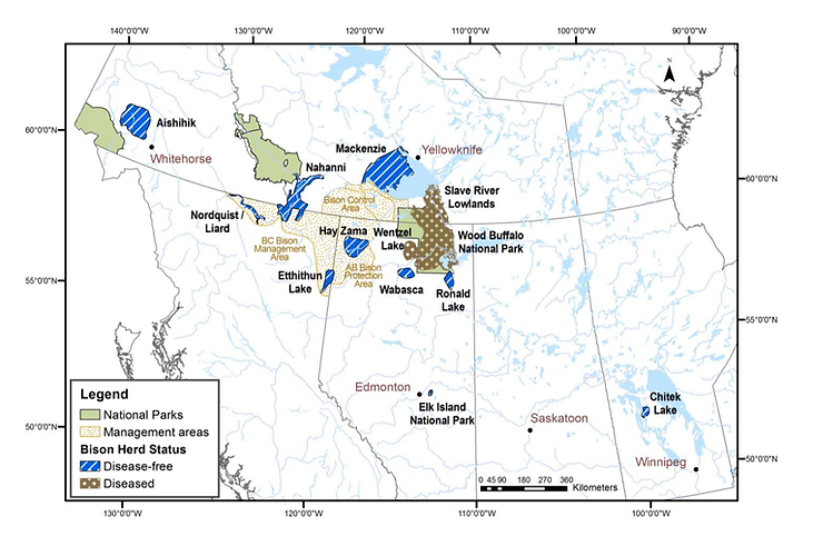 Figure 3 - Location of free-ranging Wood Bison local populations in Canada - Wood Bison Re