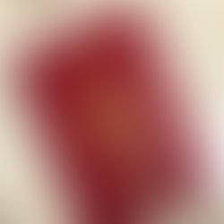 帰化の種類(いくつかあります。)