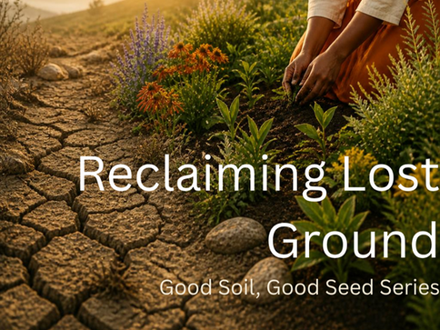 Reclaiming Lost Ground