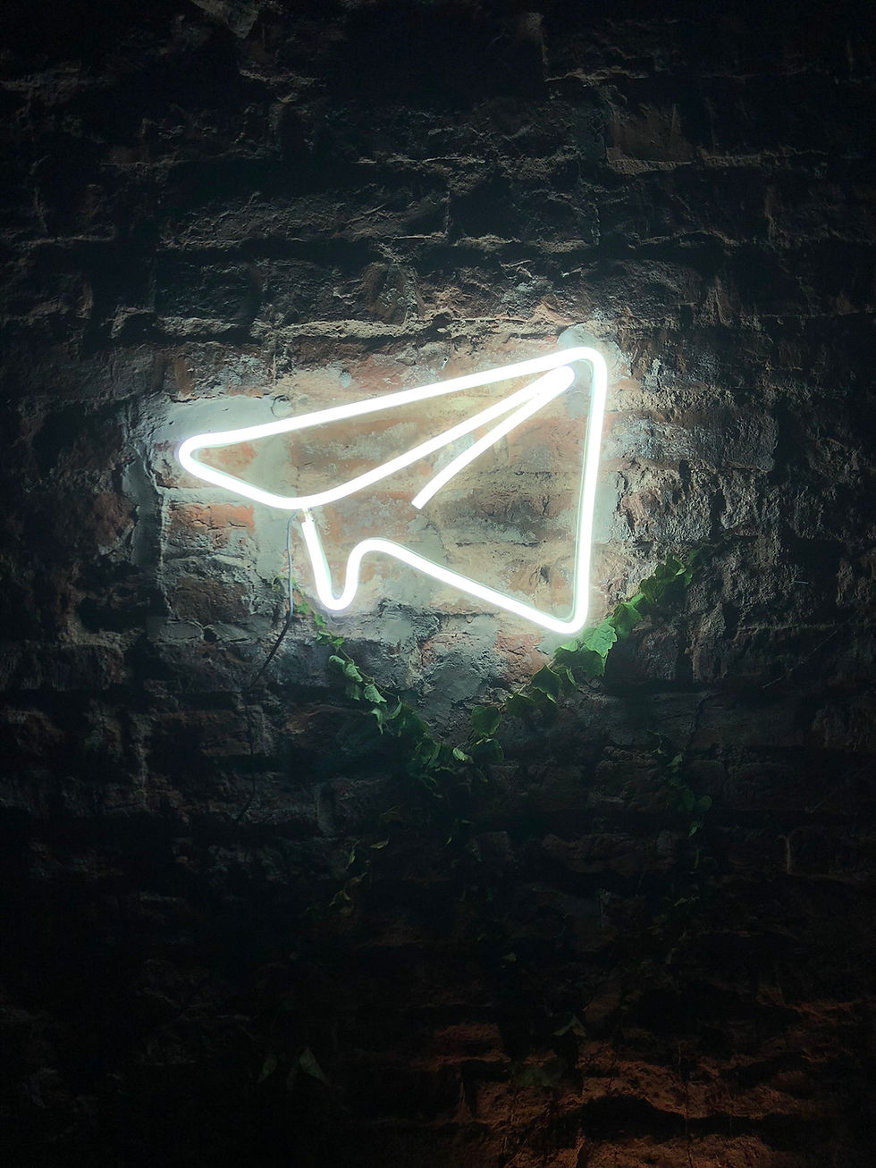 Miniatura: AVIÓN DE PAPEL