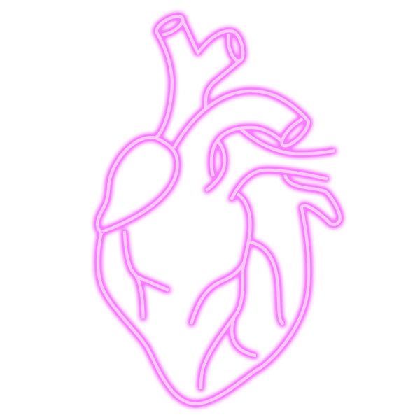 Miniatura: CORAZÓN ANATÓMICO