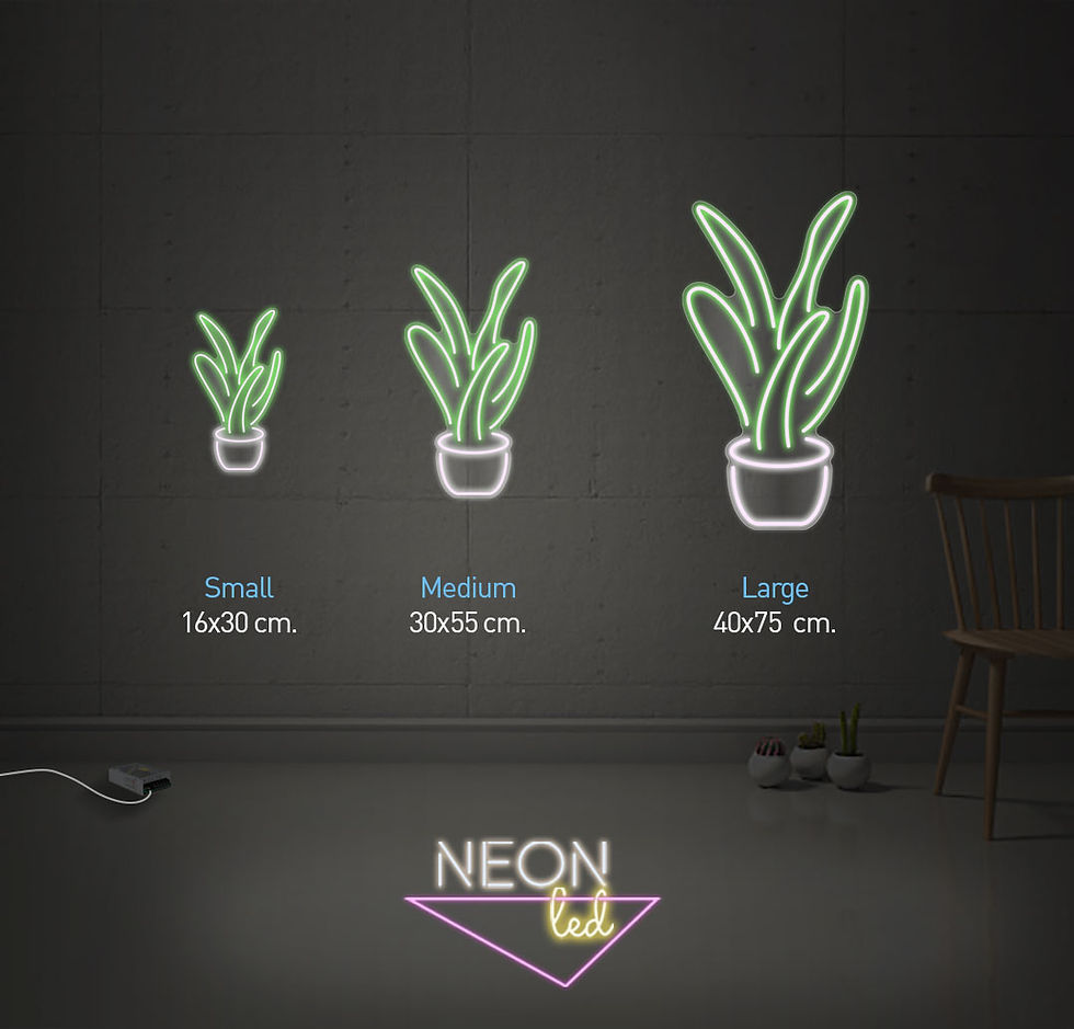 Miniatura: PLANTIN
