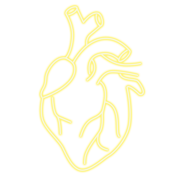 Miniatura: CORAZÓN ANATÓMICO