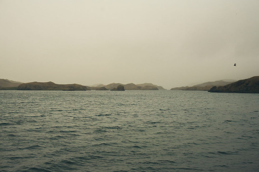 Lessons of Love Taught By The Land