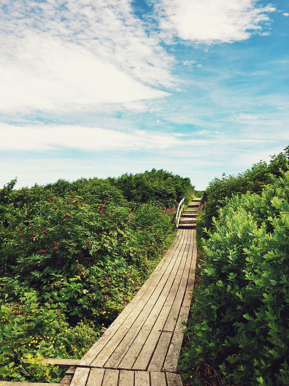 The Fault in Our Blood Quantum