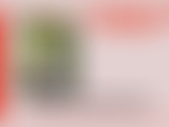 C&Q Ep. #7 Conversations with an Inuit Philosopher