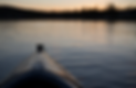 boat image.png