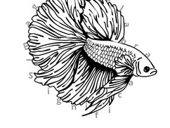 Poesía Reticulata