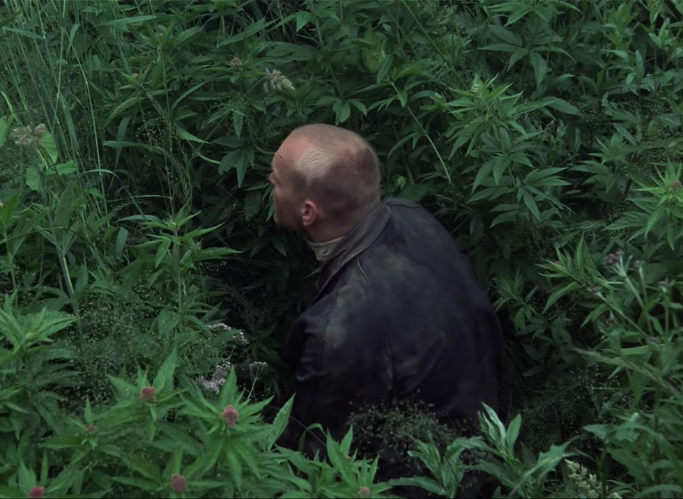 Stalker Tarkovski
