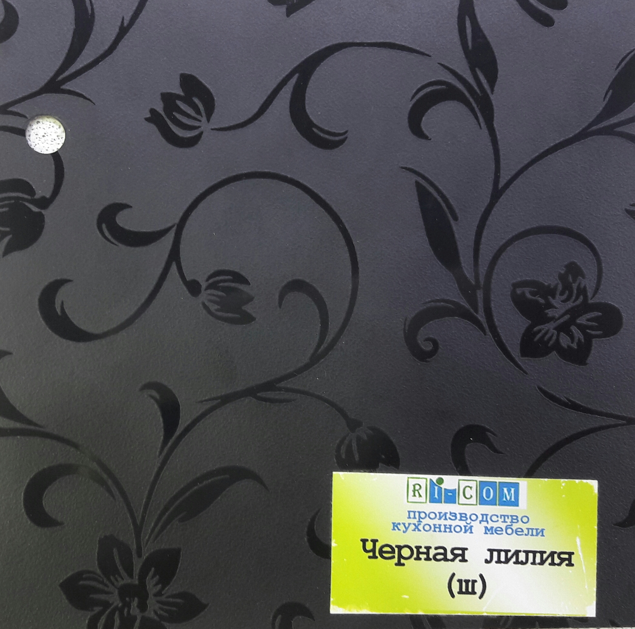 Черная лилия