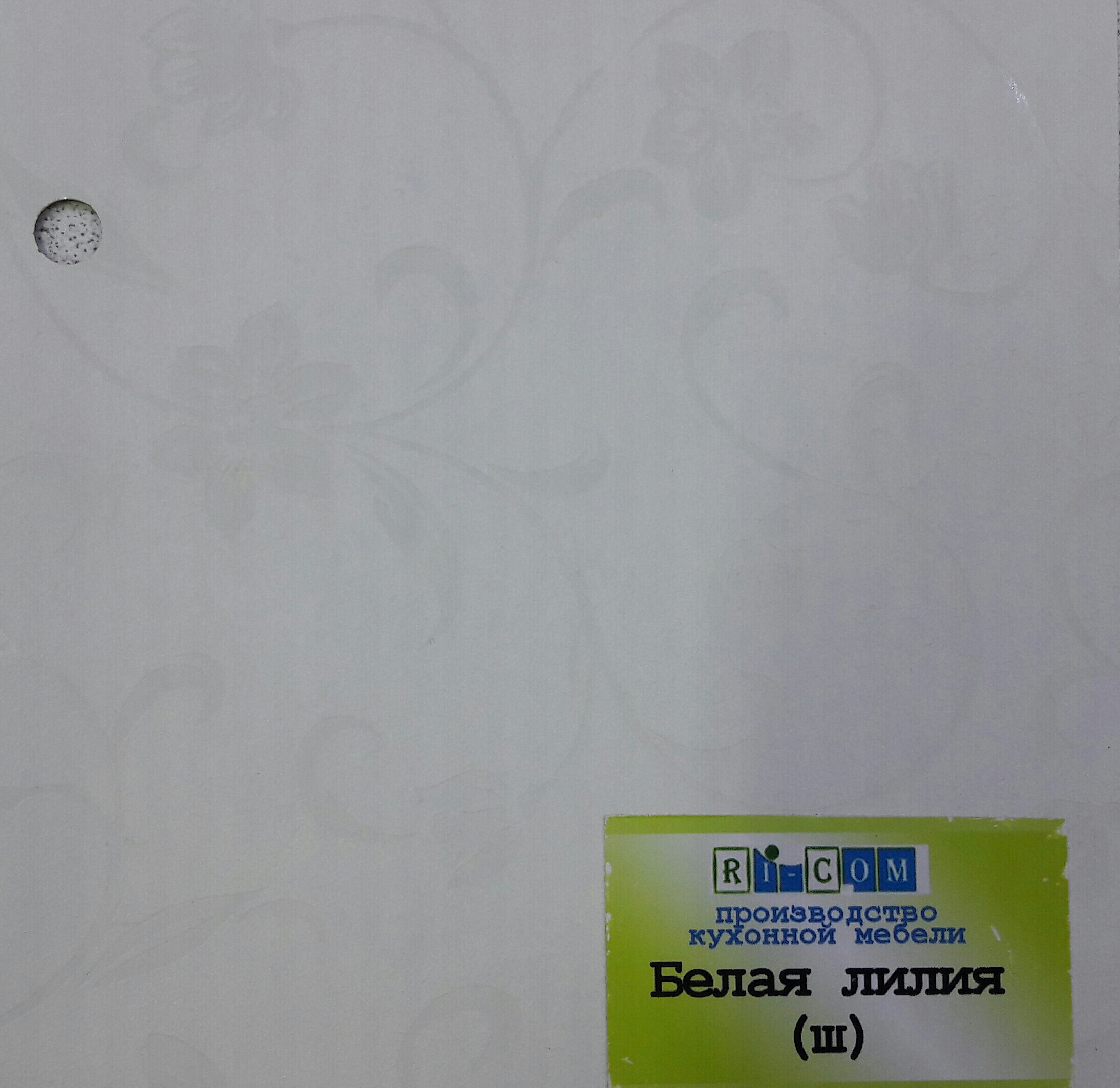 Белая лилия