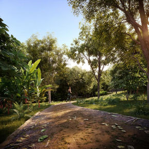 Trilha de caminhada Nature São Roque