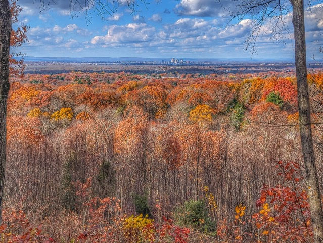 Annual Thanksgiving Weekend Hike