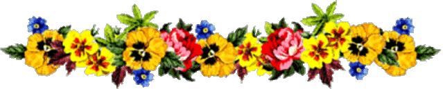 50691545_multi_flowerline.gif