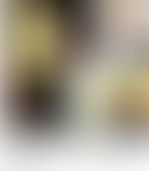 LEOPARDS EDGE OUT TIGERS IN CLOSE CONTEST Mahesh Shetty Delivers Magical Spell (17/5), Pramod Kelaskar & Jazz Dhodhy Shine With Ball & Bat