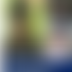 SUMMER SLAM : PANTHERS DOMINATE LIONS IN TUESDAY CLASH, CHALLENGE TIGERS AT THE TOP