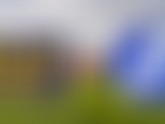 THURSDAY 7:05 PM: IT'S PIGEONS VS PARROTS AS A-LEAGUE GOLD TAKE ON UNITED IN A THRILLING FACE-OFF!