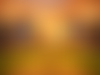 SUMMER SLAM FACE-OFF: TIGERS BEGIN THEIR TITLE DEFENCE AGAINST LIONS ON TUESDAY AT 7 PM