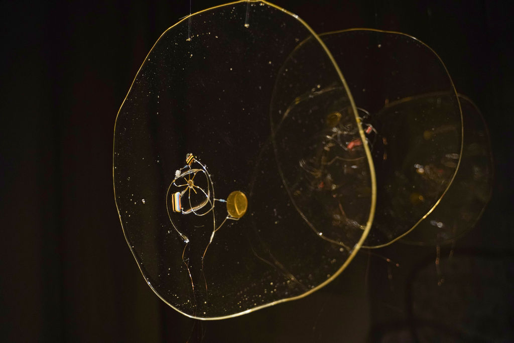 Eat Me, Ditch Me Ioana Vreme Moser