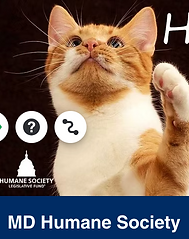 Screenshot 2026-05-15 at 11.03.15 AM.png