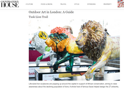 Country & Town House