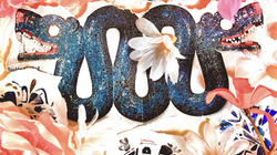 Reflections of Culture