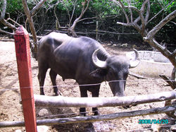 PICT0259