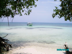 PICT0465